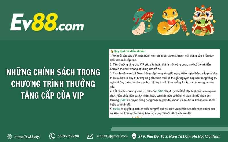 Những chính sách trong chương trình thưởng tăng cấp của VIP 