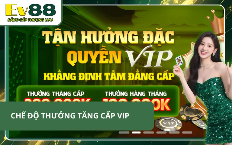 Thưởng khi tăng cấp VIP tại hệ thống hấp dẫn cược thủ đua top